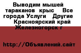 Выводим мышей ,тараканов, крыс. - Все города Услуги » Другие   . Красноярский край,Железногорск г.